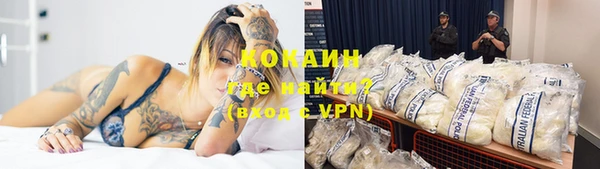PSILOCYBIN Медвежьегорск