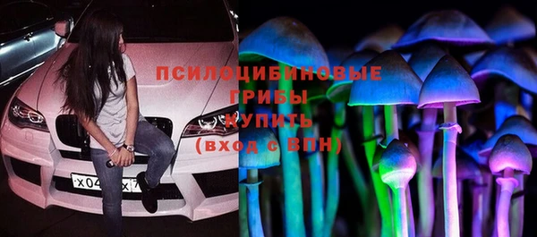 PSILOCYBIN Медвежьегорск
