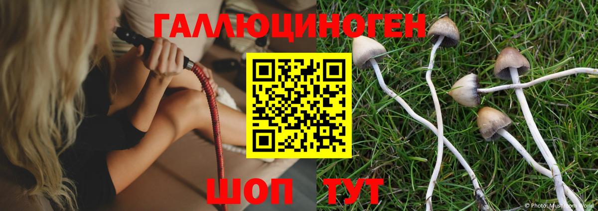 наркошоп  Псилоцибиновые грибы Magic Shrooms  Беслан  Галлюциногенные грибы MAGIC MUSHROOMS 