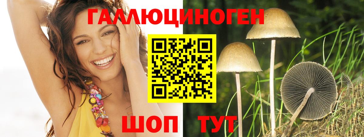 где купить   Псилоцибиновые грибы Magic Shrooms  Вход с VPN  Беслан  Галлюциногенные грибы Psilocybe 